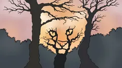 Čo vidíte na tomto obrázku? Psychologický test, ktorý ukazuje, ako vnímate svet.