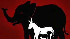 Zaujímavá optická ilúzia: koľko zvierat dokážete na tomto obrázku nájsť za 10 sekúnd?